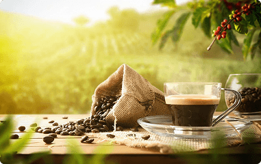 روغن زیتون اصل هورا؛ اکسیر طلایی برای سلامت جسم